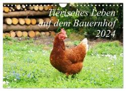 Tierisches Leben auf dem Bauernhof 2024 (Wandkalender 2024 DIN A4 quer), CALVENDO Monatskalender