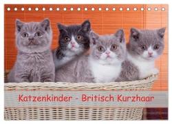 Katzenkinder Britisch Kurzhaar (Tischkalender 2024 DIN A5 quer), CALVENDO Monatskalender