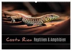 Costa Rica - Reptilien und Amphibien (Wandkalender 2024 DIN A2 quer), CALVENDO Monatskalender