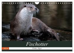 Fischotter, flinke Jäger (Wandkalender 2024 DIN A4 quer), CALVENDO Monatskalender