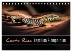 Costa Rica - Reptilien und Amphibien (Tischkalender 2024 DIN A5 quer), CALVENDO Monatskalender