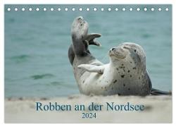 Robben an der Nordsee (Tischkalender 2024 DIN A5 quer), CALVENDO Monatskalender