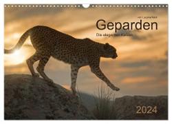 Geparden. Die eleganten Katzen. (Wandkalender 2024 DIN A3 quer), CALVENDO Monatskalender