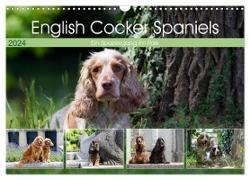 English Cocker Spaniels - Ein Spaziergang im Park (Wandkalender 2024 DIN A3 quer), CALVENDO Monatskalender