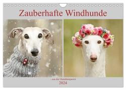 Zauberhafte Windhunde (Wandkalender 2024 DIN A4 quer), CALVENDO Monatskalender