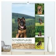 Schäferhunde Langstockhaar zum verlieben (hochwertiger Premium Wandkalender 2024 DIN A2 hoch), Kunstdruck in Hochglanz