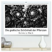 Die grafische Schönheit der Pflanzen ¿ Schwarz-Weiß (hochwertiger Premium Wandkalender 2024 DIN A2 quer), Kunstdruck in Hochglanz