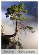 Bäume - Stilles Leben (Wandkalender 2024 DIN A2 hoch), CALVENDO Monatskalender