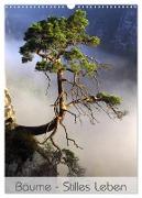 Bäume - Stilles Leben (Wandkalender 2024 DIN A3 hoch), CALVENDO Monatskalender