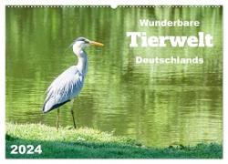 Wunderbare Tierwelt Deutschlands (Wandkalender 2024 DIN A2 quer), CALVENDO Monatskalender