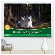 Weiße Schäferhunde in schönen Landschaften (hochwertiger Premium Wandkalender 2024 DIN A2 quer), Kunstdruck in Hochglanz