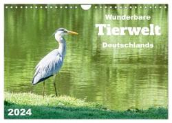 Wunderbare Tierwelt Deutschlands (Wandkalender 2024 DIN A4 quer), CALVENDO Monatskalender