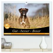 Gut - besser - Boxer (hochwertiger Premium Wandkalender 2024 DIN A2 quer), Kunstdruck in Hochglanz