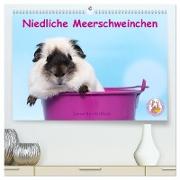 Niedliche Meerschweinchen (hochwertiger Premium Wandkalender 2024 DIN A2 quer), Kunstdruck in Hochglanz