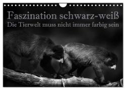 Faszination schwarz-weiß - Die Tierwelt muss nicht immer farbig sein (Wandkalender 2024 DIN A4 quer), CALVENDO Monatskalender