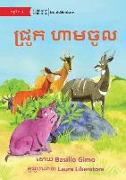 No Pigs Allowed - &#6023,&#6098,&#6042,&#6076,&#6016, &#6048,&#6070,&#6040,&#6021,&#6076,&#6043