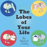 The Lobes of Your Life