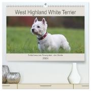 West Highland White Terrier - Selbstbewustes Powerpaket - der Westie (hochwertiger Premium Wandkalender 2024 DIN A2 quer), Kunstdruck in Hochglanz