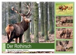 Der Rothirsch - Der König in unseren Wäldern (Wandkalender 2024 DIN A3 quer), CALVENDO Monatskalender