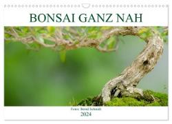 Bonsai ganz nah (Wandkalender 2024 DIN A3 quer), CALVENDO Monatskalender