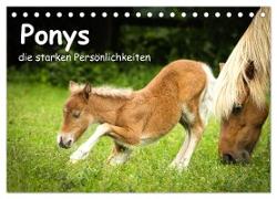 Ponys, die starken Persönlichkeiten (Tischkalender 2024 DIN A5 quer), CALVENDO Monatskalender
