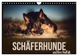 Schäferhunde und Ihre Vielfalt (Wandkalender 2024 DIN A4 quer), CALVENDO Monatskalender