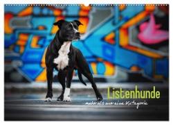 Listenhunde - mehr als nur eine Kategorie (Wandkalender 2024 DIN A2 quer), CALVENDO Monatskalender