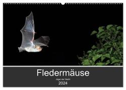 Fledermäuse - Jäger der Nacht (Wandkalender 2024 DIN A2 quer), CALVENDO Monatskalender