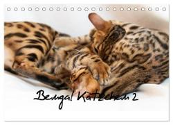 Bengal Kätzchen 2 (Tischkalender 2024 DIN A5 quer), CALVENDO Monatskalender