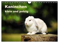 Kaninchen klein und putzig (Wandkalender 2024 DIN A4 quer), CALVENDO Monatskalender