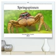 Faszination Makrofotografie: Springspinnen (hochwertiger Premium Wandkalender 2024 DIN A2 quer), Kunstdruck in Hochglanz