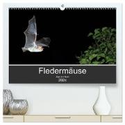 Fledermäuse - Jäger der Nacht (hochwertiger Premium Wandkalender 2024 DIN A2 quer), Kunstdruck in Hochglanz