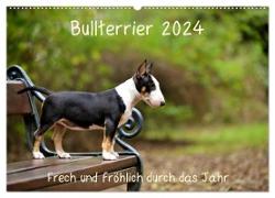 Bullterrier 2024 Frech und fröhlich durch das Jahr (Wandkalender 2024 DIN A2 quer), CALVENDO Monatskalender