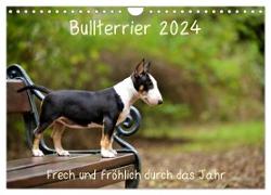 Bullterrier 2024 Frech und fröhlich durch das Jahr (Wandkalender 2024 DIN A4 quer), CALVENDO Monatskalender