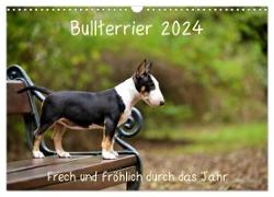 Bullterrier 2024 Frech und fröhlich durch das Jahr (Wandkalender 2024 DIN A3 quer), CALVENDO Monatskalender