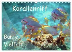Bunte Vielfalt im Korallenriff (Wandkalender 2024 DIN A3 quer), CALVENDO Monatskalender
