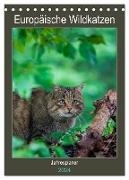 Europäische Wildkatzen - Jahresplaner (Tischkalender 2024 DIN A5 hoch), CALVENDO Monatskalender