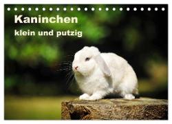Kaninchen klein und putzig (Tischkalender 2024 DIN A5 quer), CALVENDO Monatskalender
