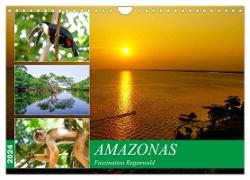 Amazonas - Faszination Regenwald (Wandkalender 2024 DIN A4 quer), CALVENDO Monatskalender