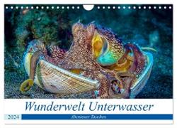 Wunderwelt Unterwasser (Wandkalender 2024 DIN A4 quer), CALVENDO Monatskalender