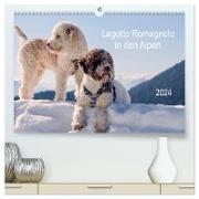 Lagotto Romagnolo in den Alpen 2024 (hochwertiger Premium Wandkalender 2024 DIN A2 quer), Kunstdruck in Hochglanz