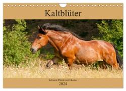 Kaltblüter - Schwere Pferde mit Charme (Wandkalender 2024 DIN A4 quer), CALVENDO Monatskalender