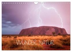Wunder Natur II (Wandkalender 2024 DIN A4 quer), CALVENDO Monatskalender