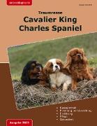 Traumrasse: Cavalier King Charles Spaniel
