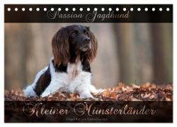 Passion Jagdhund - Kleiner Münsterländer (Tischkalender 2024 DIN A5 quer), CALVENDO Monatskalender