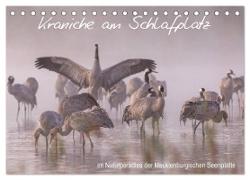 Kraniche am Schlafplatz - im Naturparadies der Mecklenburgischen Seenplatte (Tischkalender 2024 DIN A5 quer), CALVENDO Monatskalender
