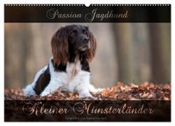 Passion Jagdhund - Kleiner Münsterländer (Wandkalender 2024 DIN A2 quer), CALVENDO Monatskalender