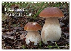 Pilze finden - das ganze Jahr! (Wandkalender 2024 DIN A3 quer), CALVENDO Monatskalender