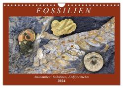 Fossilien - Ammoniten, Trilobiten, Erdgeschichte (Wandkalender 2024 DIN A4 quer), CALVENDO Monatskalender