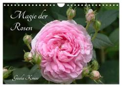 Magie der Rosen (Wandkalender 2024 DIN A4 quer), CALVENDO Monatskalender